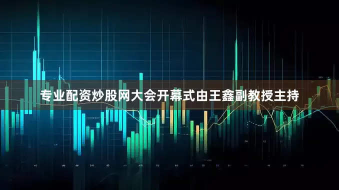 专业配资炒股网大会开幕式由王鑫副教授主持