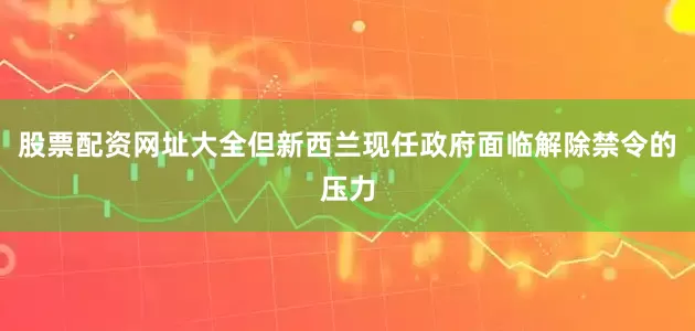 股票配资网址大全　　但新西兰现任政府面临解除禁令的压力