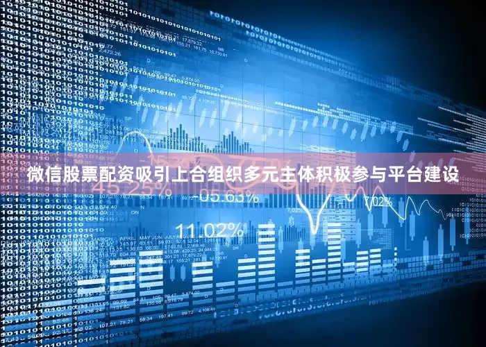 微信股票配资吸引上合组织多元主体积极参与平台建设